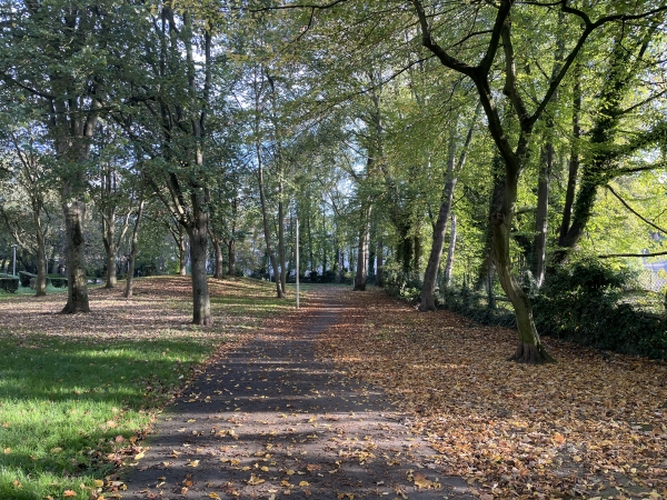 Les rives du Cailly ne sont pas encore toutes aménagées en raison des propriétés, mais à chaque fois que nous avons suivi ce circuit, nous avons pu constater les progrès réalisés.