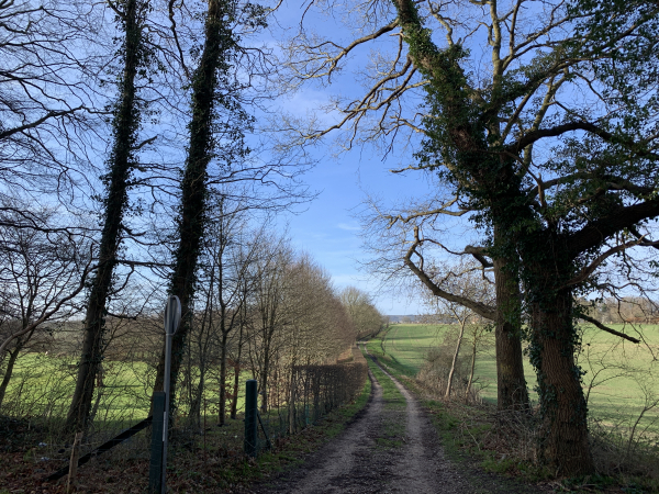 Nous sortons de la Forêt de Jumièges.