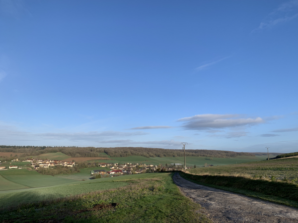 Nous quittons le chemin de crête pour descendre vers le village de Mesnil-Milon, puis monter sur la colline boisée en face.