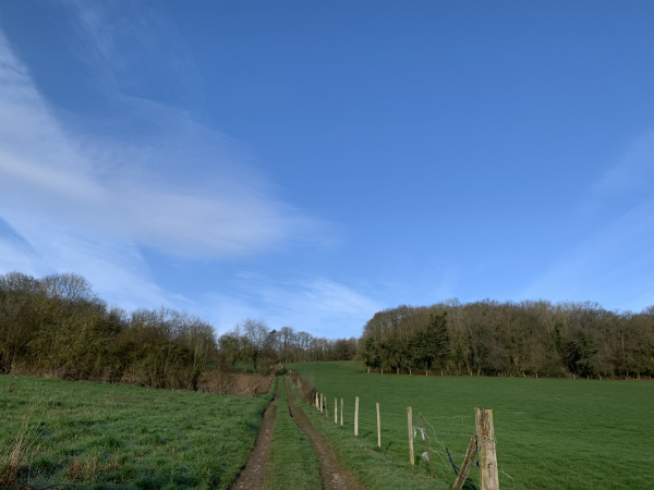 Nous montons vers le Bois du Grand Désert. C'est une caractéristique de ce circuit, les bosses succèdent aux creux, il y a plusieurs belles montées.