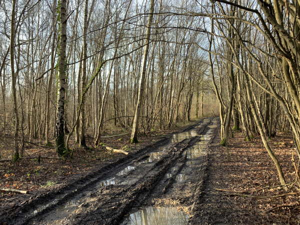 Au sommet de la colline, l'eau de pluie stagne sur le chemin. Nous restons au sec en marchant sur le bord du chemin, nous n'attribuons donc pas de parapluie rouge à ce circuit.