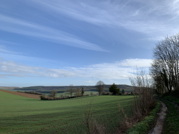 Nous descendons vers la Côte Brûlée, avec à nouveau de sympathiques panoramas sur les paysages du Vexin.