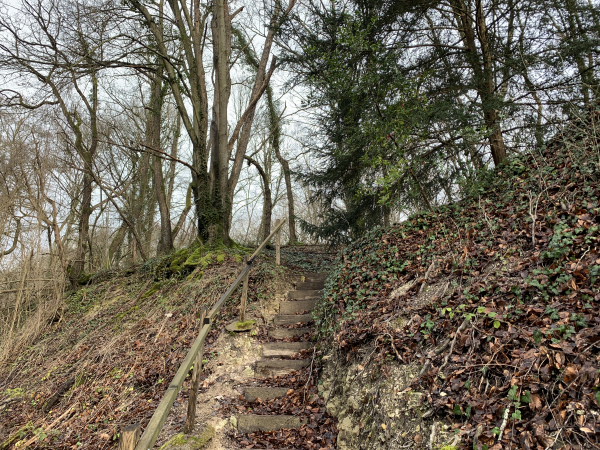 Notre chemin se termine en sentier. Comme on le voit, le circuit bénéficie d'aménagements, comme ici un escalier.
