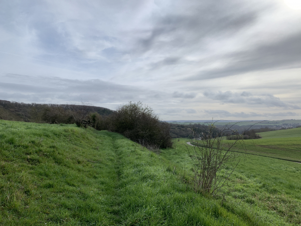 L'oppidum du Malassy est au sommet de la colline à gauche. A droite, le vallon descend vers Ste-Geneviève-lès-Gasny.
