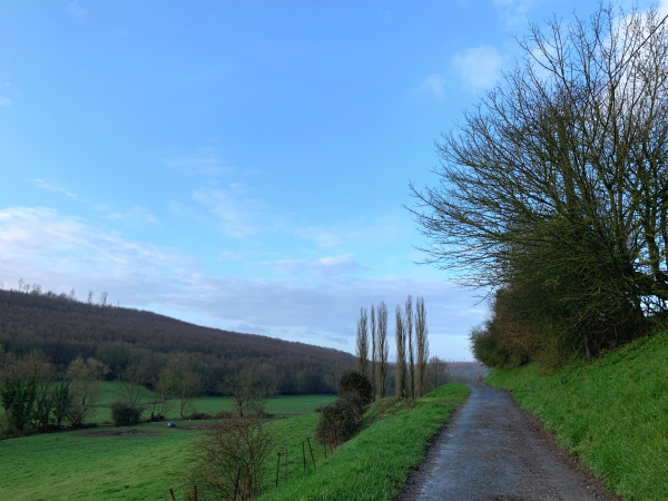 Nous sortons de Lyons-la-Forêt par le Chemin de la Fontaineresse qui avance en balcon au dessus de la vallée de la Lieure.