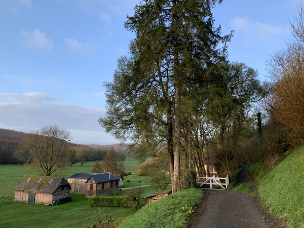 La dernière maison de ce chemin, bâtie près d'une source, est la Fontaineresse. Elle a donné son nom au chemin.
