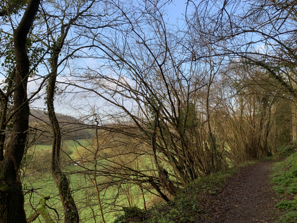 Le Chemin de la Fontaineresse est désormais plus sauvage. En cette saison, on peut distinguer la Lieure derrière les arbres.