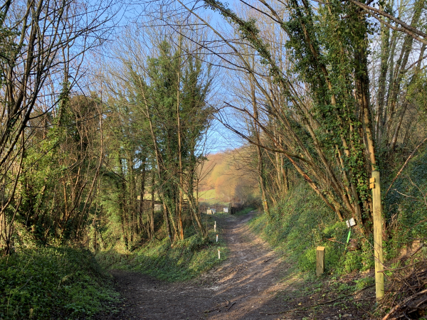 Nous arrivons au Chemin de la Chapelle St-Jean, nous allons le suivre pour monter vers l'Essart Mador.