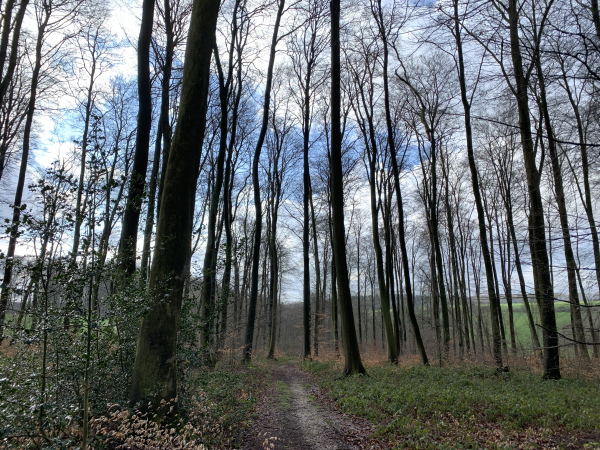 Nous descendons le Val Bagnard, qui a donné son nom à ce circuit.