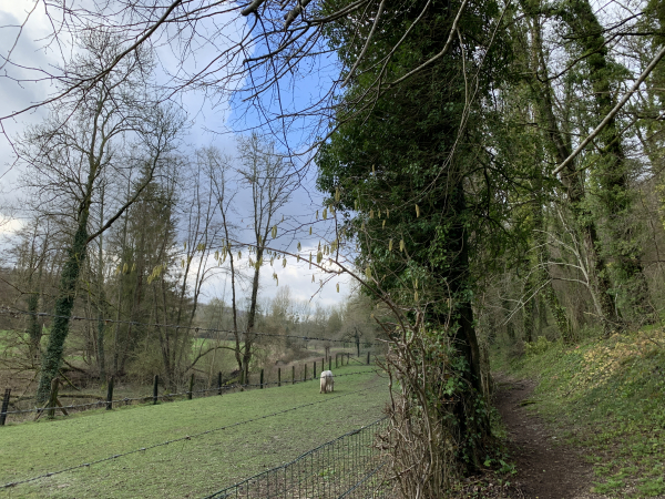 Nous contournons le centre du bourg en passant par le chemin de la Rigole. Si vous ne connaissez pas Lyons-la-Forêt, le détour jusqu'à la place de la Halle est indispensable !