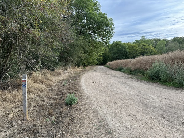 Au carrefour du chemin des Armalots, nous quittons le circuit de la Maladrerie pour rejoindre, un peu plus loin, le circuit du Bois aux Vignes.