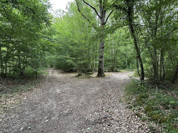 Nous allons prendre ici le chemin à droite, c'est en fait le chemin central d'une fourche à trois branches.