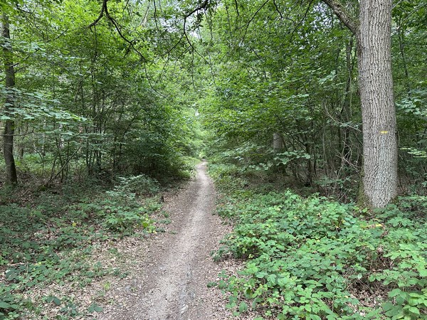 Nous n'entrons pas dans Huest, mais descendons vers la Petite Vallée.