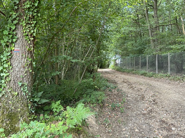 Nous montons le Chemin des Armalots. Le balisage bleu de la deuxième boucle est plus régulier.