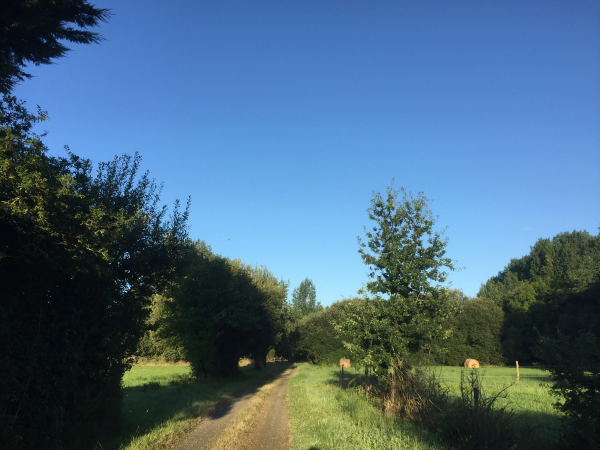 Après la rue Camille Turgis, nous rejoignons les chemins du Hameau Poulain.