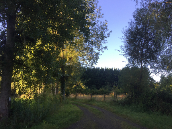 Nous arrivons aux Anges, nous allons traverser le Domaine Beau Rivage.