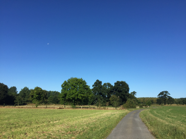 Nous avons quitté la côte et marchons maintenant vers le Hameau Garnier.