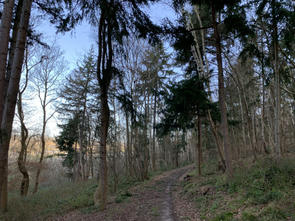 Le premier chemin avance en balcon au-dessus de la vallée de la Risle sur plus d'un kilomètre.