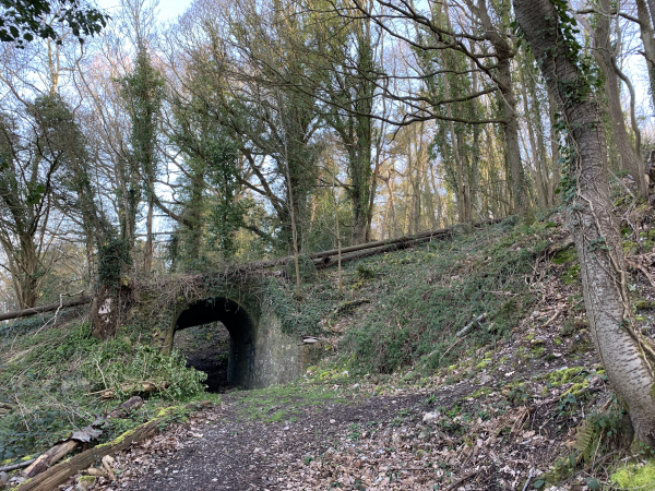 Au moment de tourner à droite pour rejoindre le sommet du plateau, nous découvrons ce petit pont. C'est l'un des vestiges du funiculaire à betteraves, qui reliait le plateau agricole du Neubourg à la sucrerie de Nassandres. La sucrerie existe toujours (Saint Louis Sucre), mais pas son funiculaire.