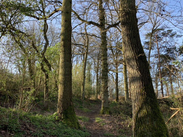 Nous arrivons au sommet du coteau et rejoignons le plateau du Neubourg.