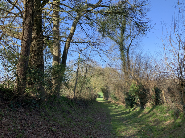 Nous arrivons au bout du chemin de la Sente du Moulin Saint-Denis.