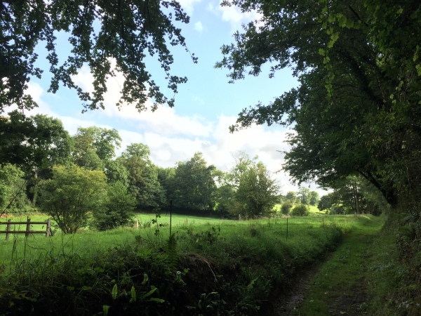 Nous avons quitté Trelly par la rue de la Hersenterie et marchons maintenant sur de charmants chemins dans la campagne près du hameau de la Germinière.