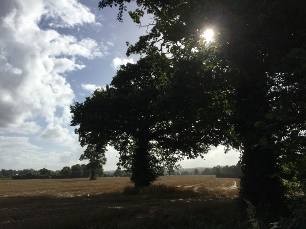 Nous arrivons au Clos des Barrières.