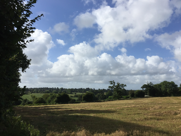 Nous descendons maintenant vers la Valleinerie. Les paysages alternent entre petits bois et bocage.