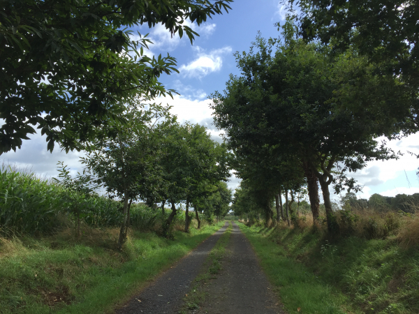Dernier chemin avant le retour au bourg de Trelly.