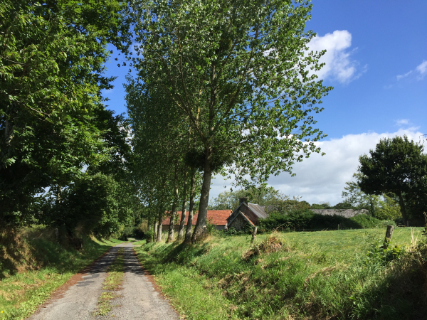 Dès le départ les paysages du Coutançais sont charmants, et même cette rue (comptée comme route dans les pourcentages routes/chemins) a plus l'allure d'un chemin de randonnée que d'une route.
