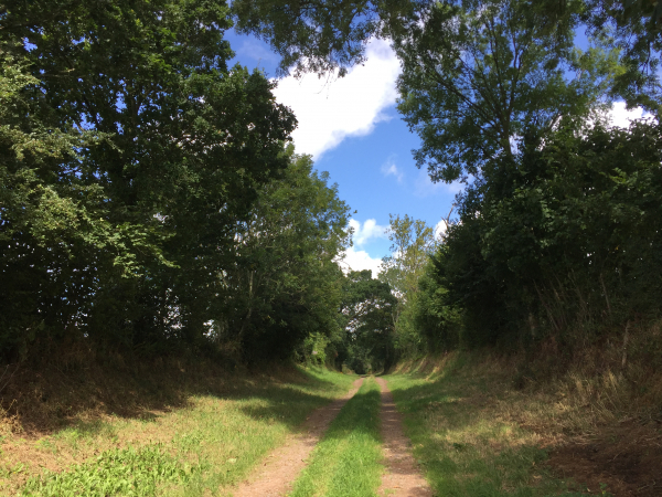 Nous sommes maintenant à la Petite Brannière, au nord de Contrières.