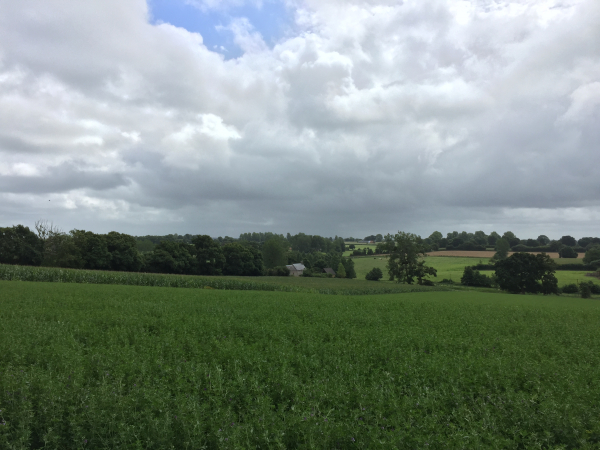 Nous voici au lieu-dit l'Egypte, nous allons descendre vers le Ruisseau de Beaudebec.