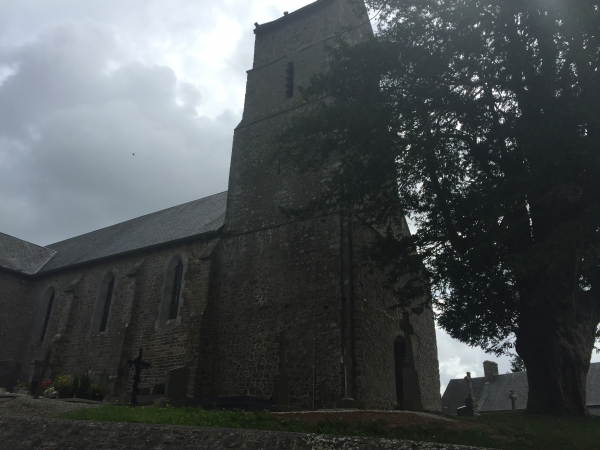 Et nous voilà de retour dans le bourg de Contrières, au pied de l'église Sainte-Marguerite (XIe, tour du XVe et XIXe) et de son if millénaire.