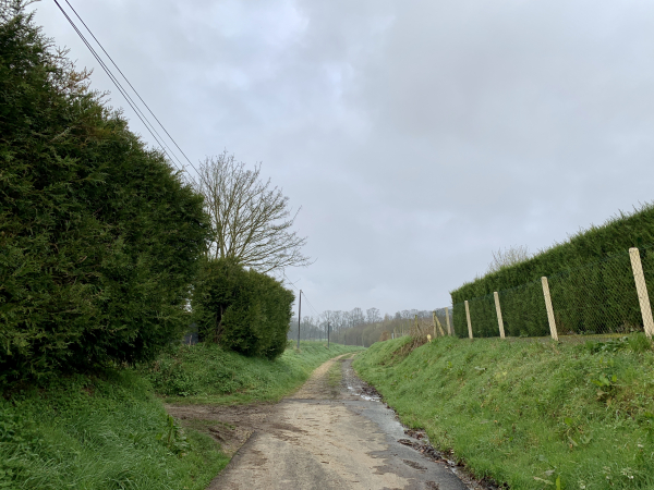 Après les dernières maisons, la rue devient chemin et s'enfonce dans la campagne en direction du bois de Berville.