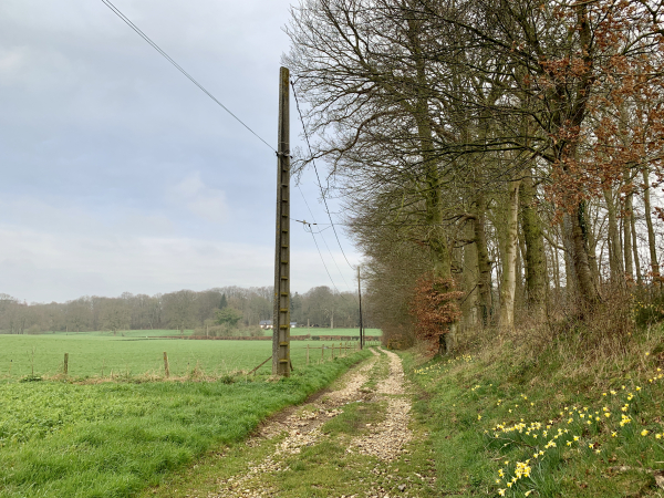 Nous sommes sur le chemin de Beaumare, nom du domaine qui est à notre droite. En face, le bois de Berville.