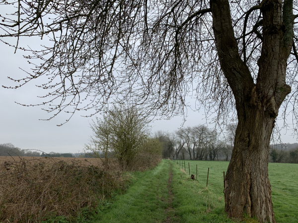 Les chemins sont très agréables, et tout à fait praticables malgré la pluie.