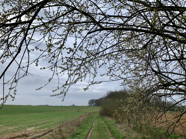 Nous traversons la Plaine de Seltot, à voir en juin quand les champs de lin sont en fleur.