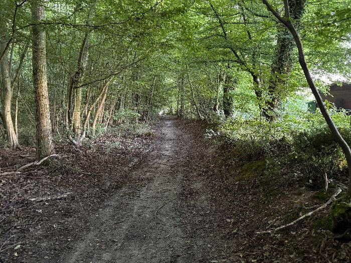 Je pars du petit parking au bout de la rue des Merisiers, un passage permet de rejoindre le chemin qui longe la lisière de la forêt domaniale de La Londe - Rouvray.