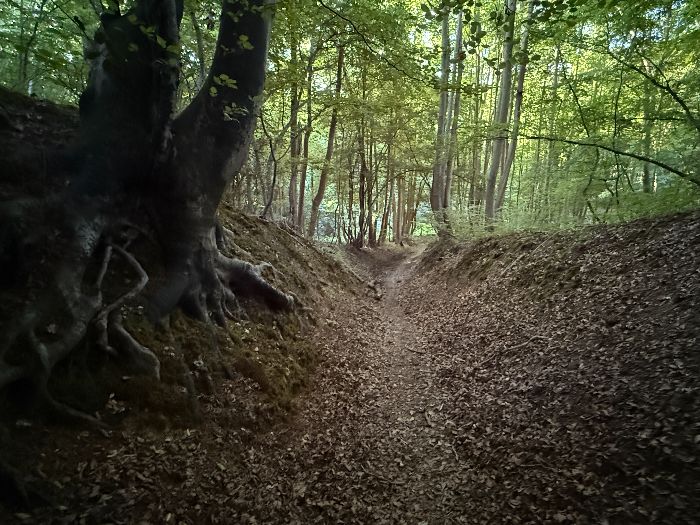 Le chemin devient creux juste avant de rejoindre la voie forestière du Mont Clève.