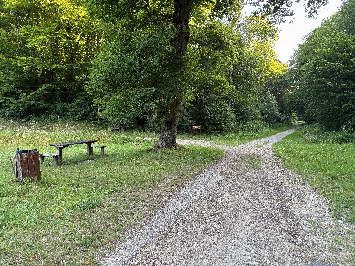Voilà le carrefour du Hêtre à l'Image, je vais continuer à gauche sur le chemin du Sanglier. Le Hêtre à l'Image était l'un des arbres remarquables recensés au début du XXe siècle par Henri Gadeau de Kerville. Il mesurait plus de 30 mètres et abritait une statuette de la Vierge.