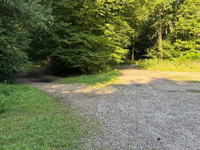 Au carrefour de l'Epine du Haut Plumet je vais tourner à gauche.