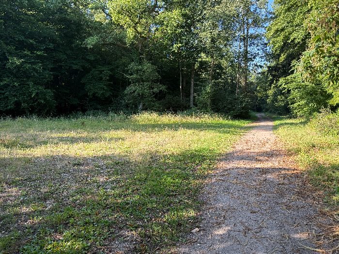 A mi chemin avant la route forestière de la Louveterie, je tourne ici à gauche en direction de La Londe.
