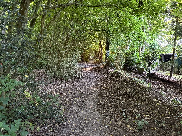 Le chemin de lisière longe les maisons de la Londe. Chacune a son portail qui ouvre directement sur la forêt domaniale.