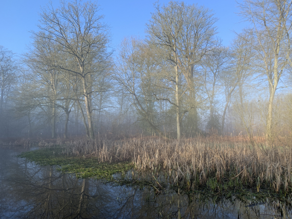 Après le Parc Animalier (aucun animal visible lors de notre passage), nous arrivons à zone préservée de la Mare Epinay.