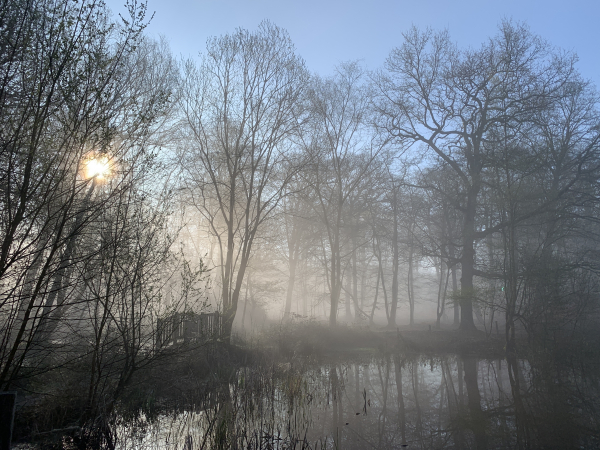 Le chemin et son pont passent au coeur des paysages de la mare. La brume et le soleil bas donnent une image très romantique du lieu. (D'autres photos et une vidéo dans l'album)