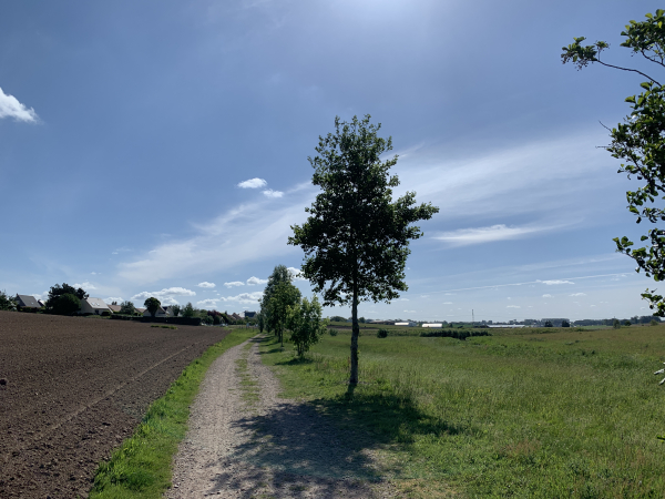 Nous partons du centre du bourg animé d'Octeville-sur-Mer et arrivons rapidement sur le chemin des bassins.
