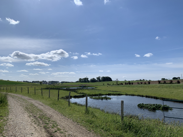 Notre chemin longe les bassins de retention du plateau.