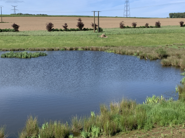 Les bassins ne manquent pas de vie, et en face de nous on peut distinguer un héron (à voir en grand sur l'album de la rando).