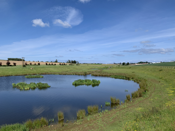 Regard arrière sur le dernier bassin avant Fontaine-la-Mallet.