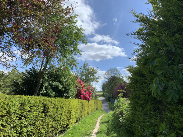 Fontaine-la-Mallet, chemin de La Forge.